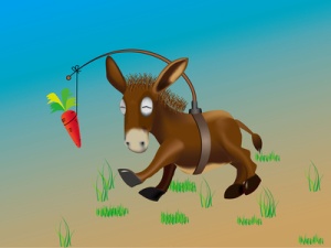 Donkey pursuing a carrot